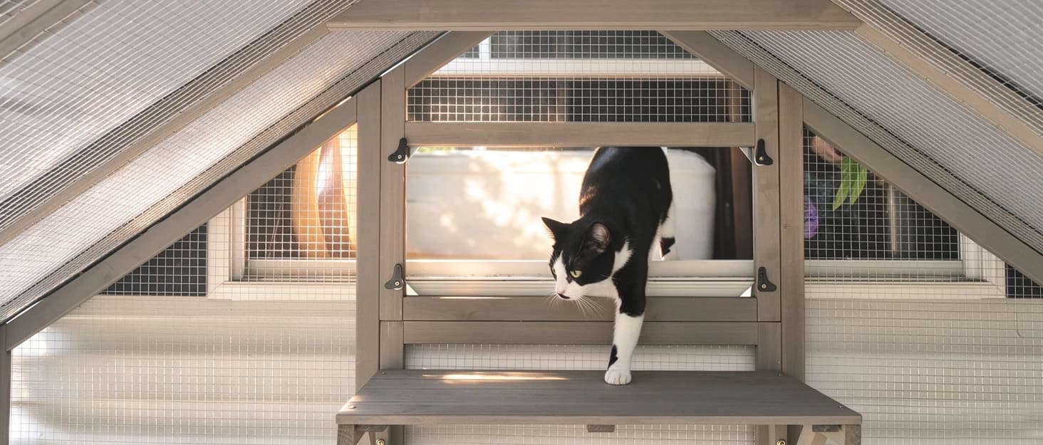 Outdoor Cat Catio Enclosures Large Wooden Cat House Patio for Indoor Cats Feral Cat Shelter with 2 Espace Doors — collection imagery