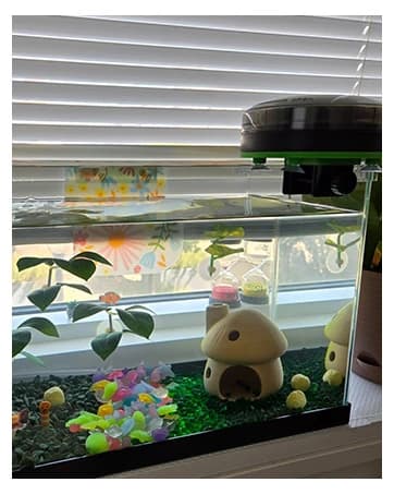 Automatic Fish Feeder for Aquarium Easy Setup & 4 Timers — collection imagery