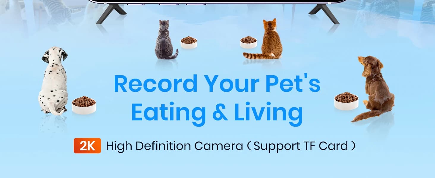 Automatic Cat Feeder with 2K Camera: 5G WiFi Automatic Dog Feeder with Night Vision — product details