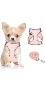 Dog Backpack for Small Dogs to Wear — product details