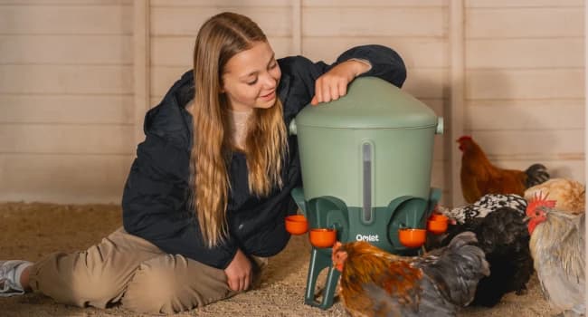 Insulated Chicken Waterer, 3 Gallon | Automatic Poultry Water Dispenser with 5 Cups and Nipples Included | — Built to share