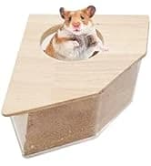 Turtle Basking Platform Baby Tortoise Climbing Ramp Shale Reptiles Dock Resting Terrace Stone Aquarium Ornament — collection imagery