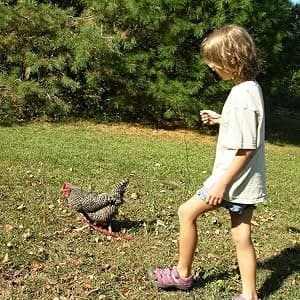 Pet Bird Harness and Leash — Petite — Training is Necessary