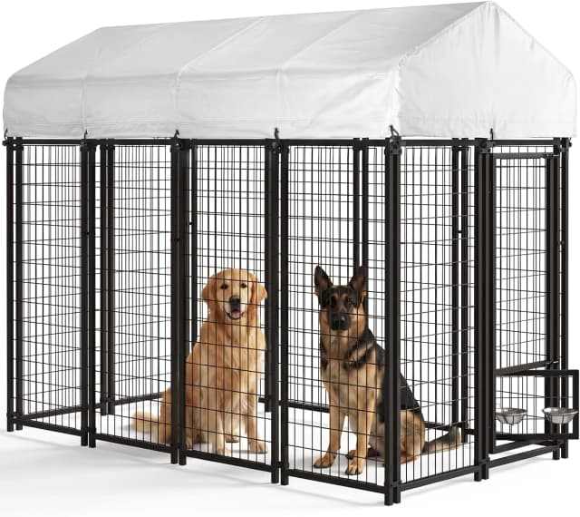 8x4x6FT Outdoor Dog Kennel for Large Dogs