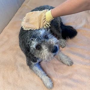 Clean Paws Chenille Microfiber Dog Towel Mitt - Super Absorbent — Features