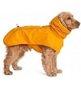 Dog Cooling Vest - Evaporative Summer Cooling — collection imagery
