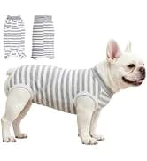 Dog Backpack for Small Dogs to Wear — collection imagery