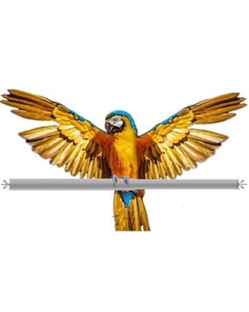 Indoor Bird Heater Pad — USB Bird Warmer Heater — collection imagery