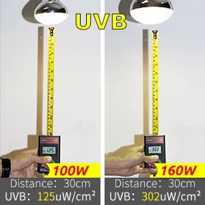 Full Spectrum UVA + UVB Sun Lamp Self-Ballasted Vapor Lamp/Bulb/Light for Reptile and Amphibian Use — collection imagery