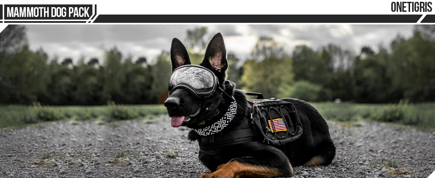 Dog Backpack for Medium and Large Dogs — collection imagery