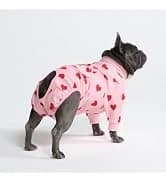 Dog Cooling Vest - Evaporative Summer Cooling — collection imagery