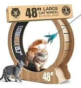 48'' XL Cat Wheel β Safe, Quiet and Stable Exercise Wheel for Large Indoor Cats up to 45 lbs β 15.7'' β collection imagery