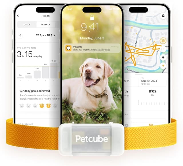 GPS Tracker for Dogs – Real-Time GPS Tracking and Escape Alerts