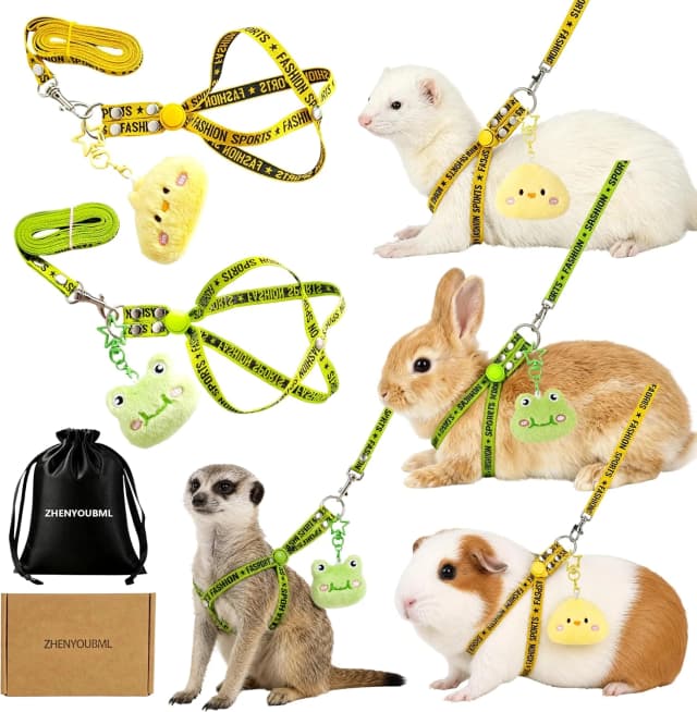 2PCS Ferret Harness and Leash — Adjustable Guinea Pig Harness
