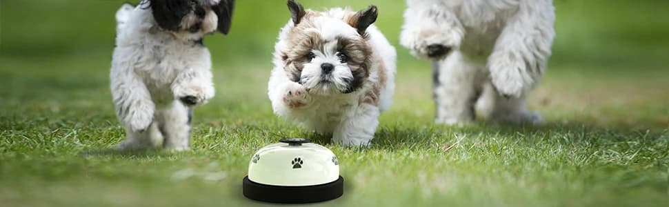 Dog Training Bell — Set of 2 Dog Puppy Pet Potty Training Bells — collection imagery