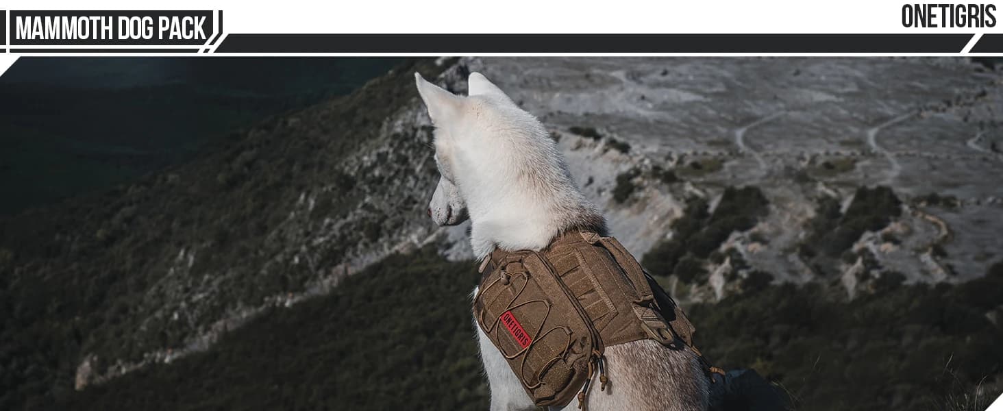 Dog Backpack for Medium and Large Dogs — collection imagery