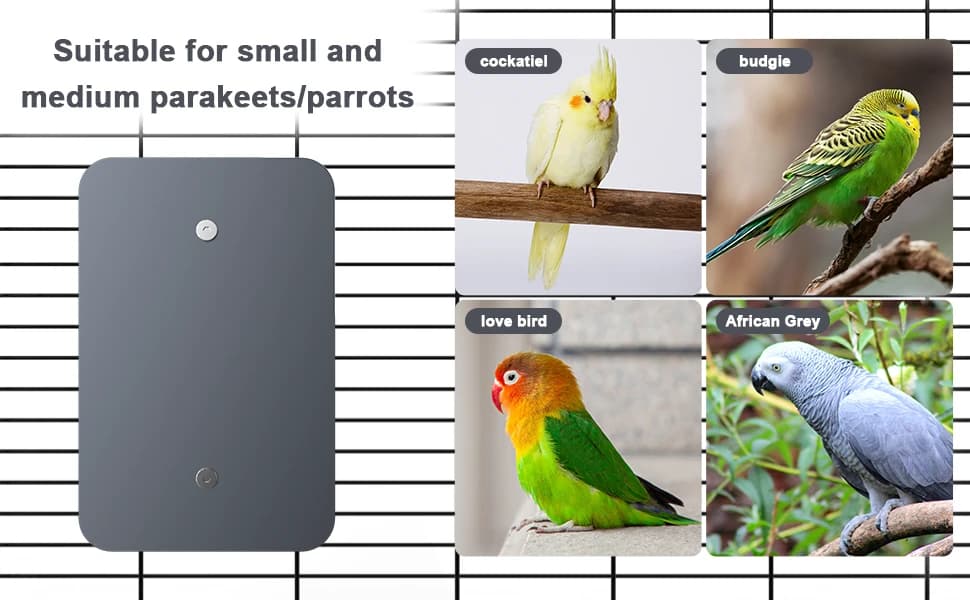 Indoor Bird Heater Pad — USB Bird Warmer Heater — product details