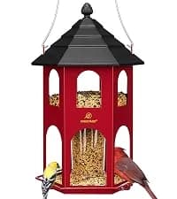 Metal Bird Feeders for Outdoors Hanging — collection imagery