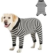 Dog Backpack for Small Dogs to Wear — collection imagery