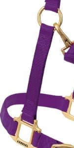 Supply Original Non-Adjustable Nylon Horse Halter – Durable Nylon — product details