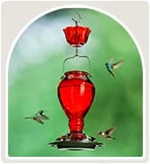 Metal Bird Feeders for Outdoors Hanging — collection imagery