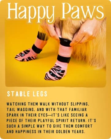 TigerToes Premium Non-Slip Dog Socks for Hardwood Floors - Extra-Thick Grip that Works Even When Twisted — collection imagery