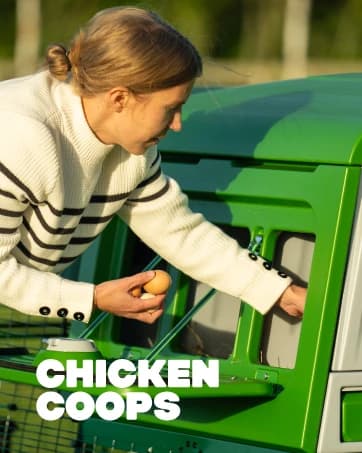 Insulated Chicken Waterer, 3 Gallon | Automatic Poultry Water Dispenser with 5 Cups and Nipples Included | — collection imagery
