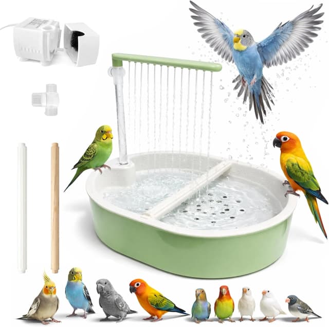 Indoor Bird Bath Fountain — Dual Rainfall Parrot Shower with Anti-Clog Pump and Filter Sponge