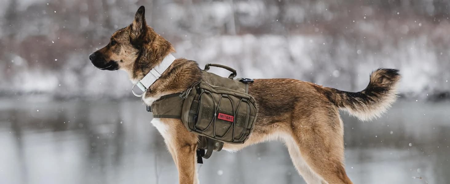 Dog Backpack for Medium and Large Dogs — Details