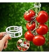Glass Hummingbird Feeder for Outdoors Hanging — collection imagery