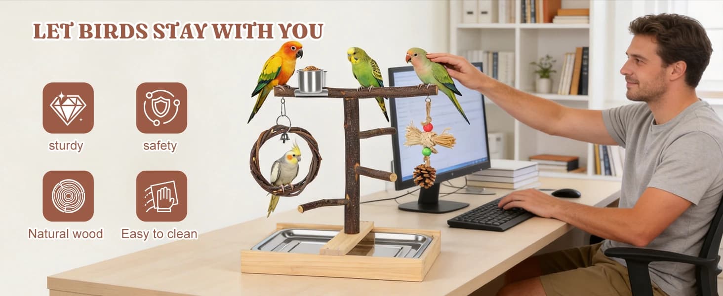 Bird Playground — Natural Wooden Parrot Play Stand — product details