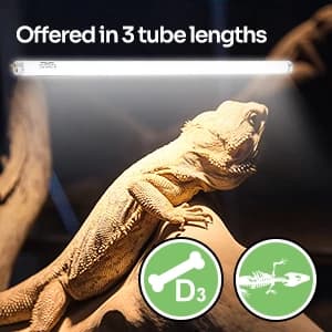 T5 HO UVB Lighting Combo Kit — collection imagery