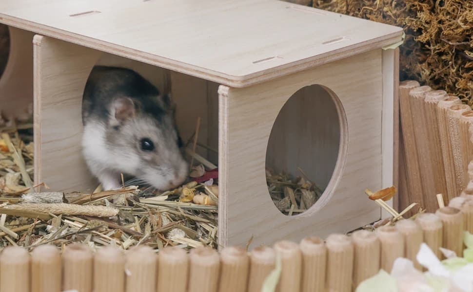 Hamster Peep Tunnel — 2-Chamber Wooden Hamster Hideout — product details