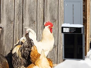 Automatic Chicken Coop Door Solar Powered with Timer and Light Sensor — FULL PROTECTION for YOUR CHICKENS