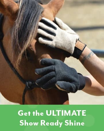 Flexible Rubber-Nodule Pet Grooming Gloves — collection imagery