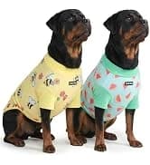 Dog Cooling Vest - Evaporative Summer Cooling — collection imagery