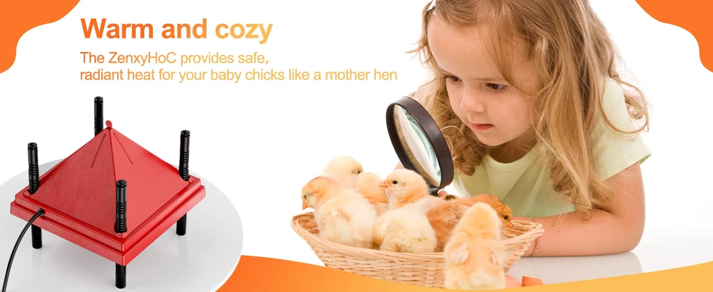 Chick Brooder Heater with Anti-Roost Cone and Constant Temp Red 12" x 12" — product details