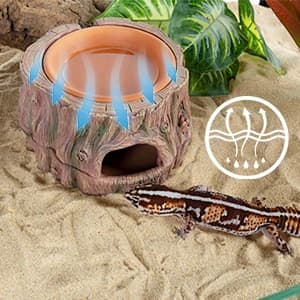 3 in 1 Reptile Hide Cave with Detachable Base and Humidity Dish — collection imagery