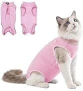 Dog Backpack for Small Dogs to Wear — collection imagery