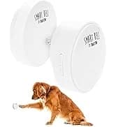 Smart Bell 2.0 Dog Door Bell for Potty Training Dogs and Puppies — collection imagery