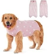Dog Backpack for Small Dogs to Wear — collection imagery