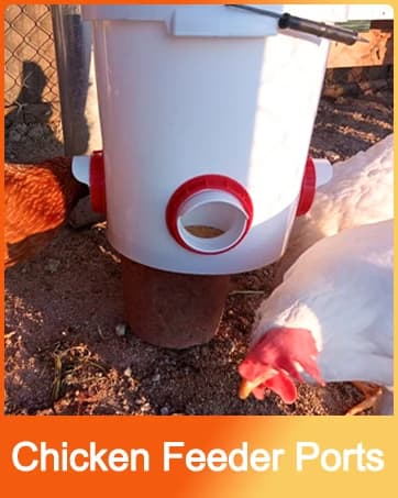 Chick Brooder Heater with Anti-Roost Cone and Constant Temp Red 12" x 12" — collection imagery