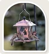 Metal Bird Feeders for Outdoors Hanging — collection imagery