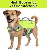 Dog Life Vest Rip Stop Dog Swim Vest — collection imagery