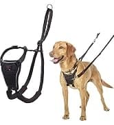 Crash Tested Dog Safety Harness | Size M — collection imagery