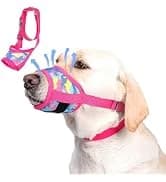 Dog Backpack for Small Dogs to Wear — collection imagery