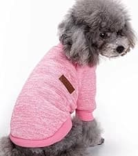 Soft Dog Hoodies for Small Dogs — collection imagery