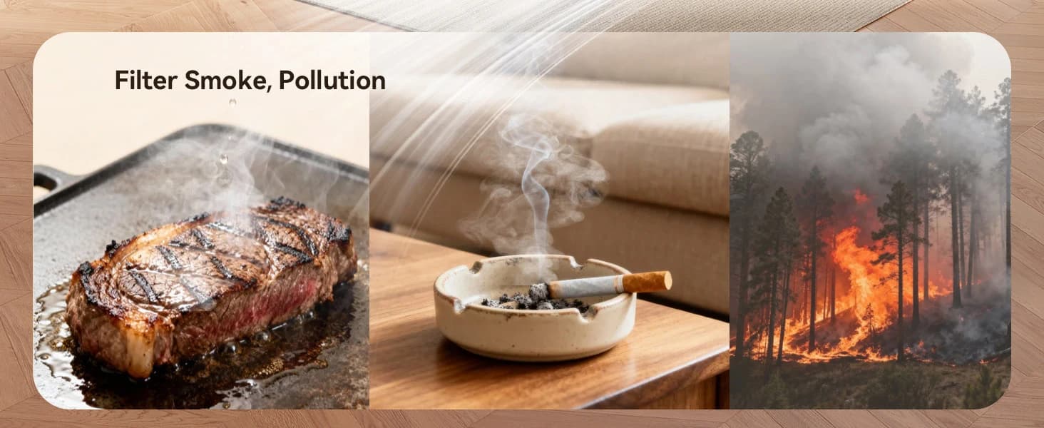 Pet Air Purifier for Home — Dual-sided Intake Air Purifier — product details