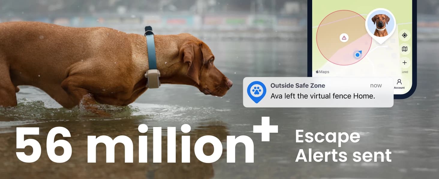 XL Smart Dog GPS Tracker | Live Pet Tracker with Virtual Fence | Vital Signs Monitoring of Heart and — product details