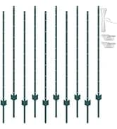 64-inch Open Top Large Parrot Bird Cage with Detachable Rolling Stand for Parakeets Finches Canaries Lovebirds — collection imagery